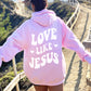 Love Like Jesus Hoodie-Light Pink-Meaningful Tees Shop